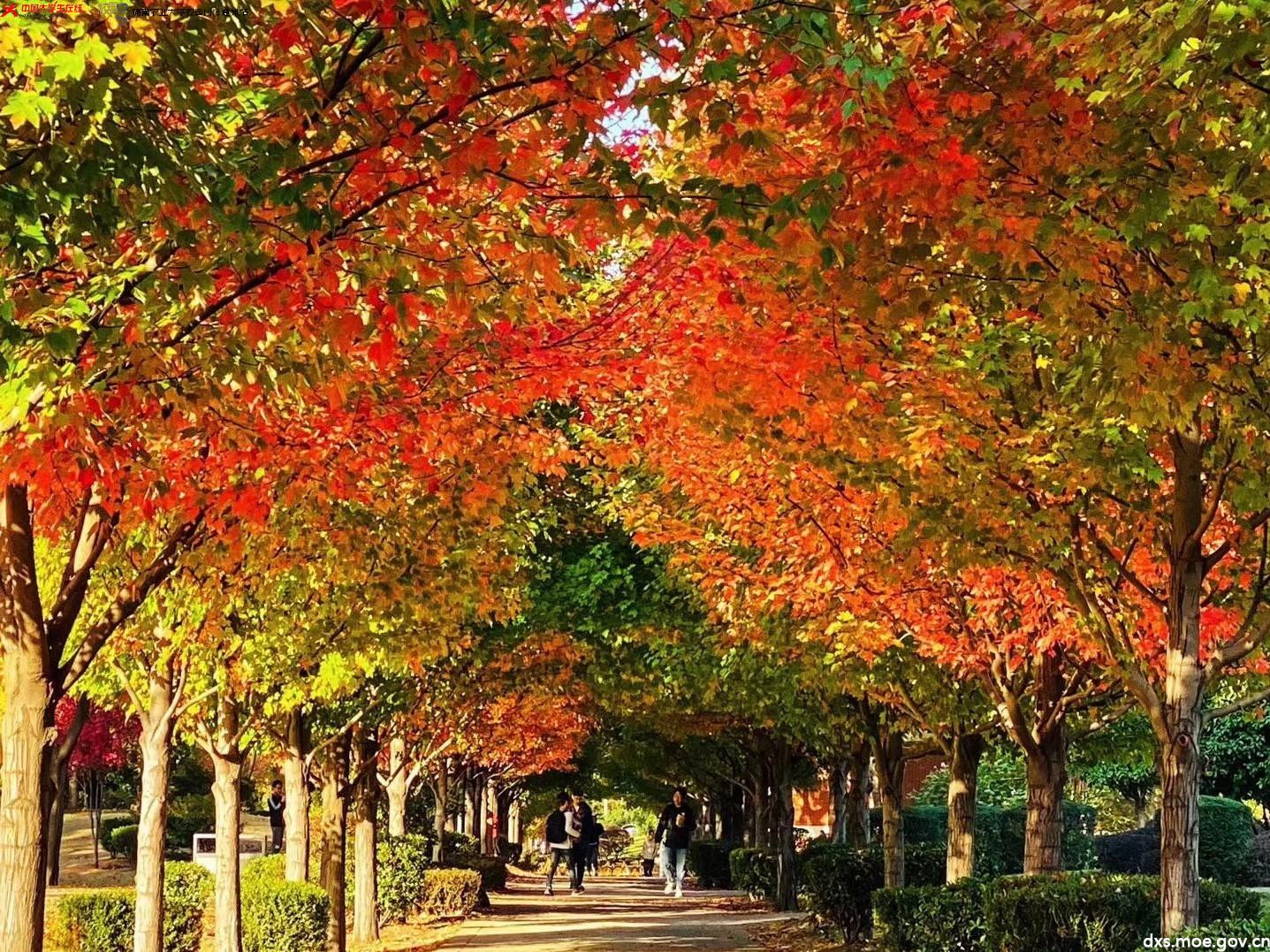 湖南省内最低调的一本大学，实力强劲，录取分数线却不高