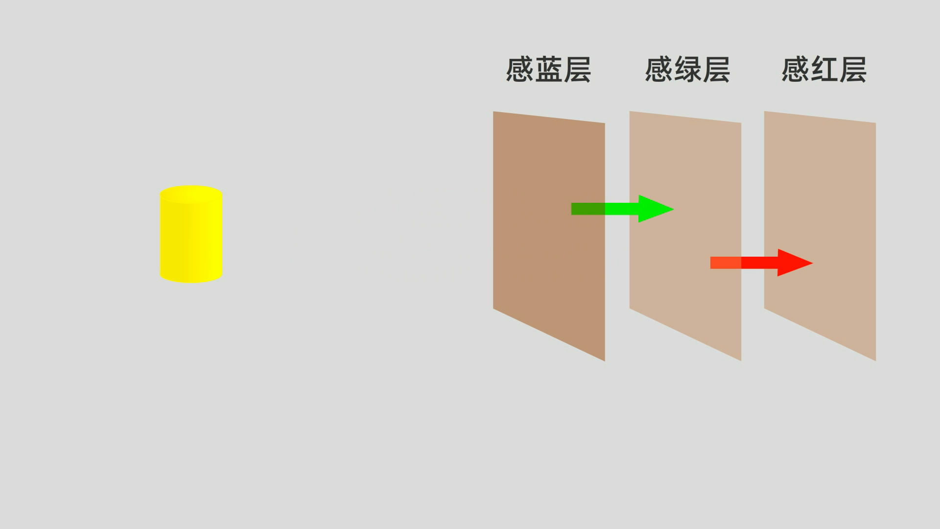 一看就懂：冲洗底片和照片的原理