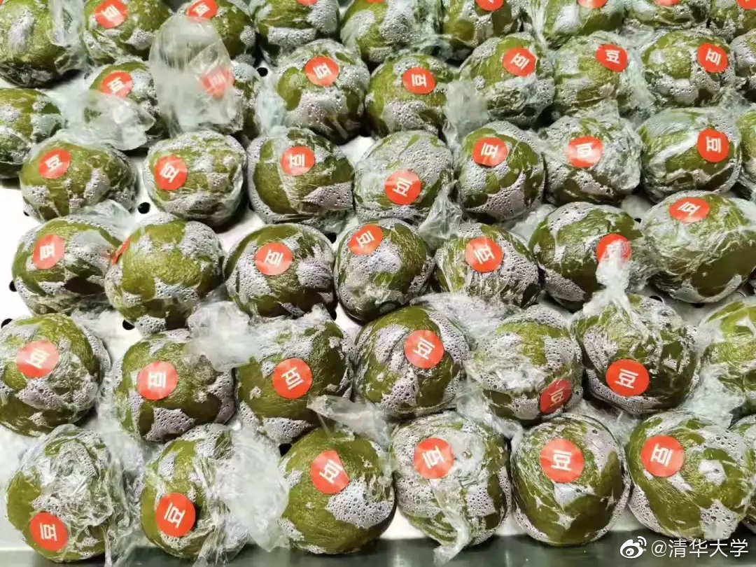 清华大学的伙食有多好？厨师年年外出学艺，为了吃，高考也值得拼