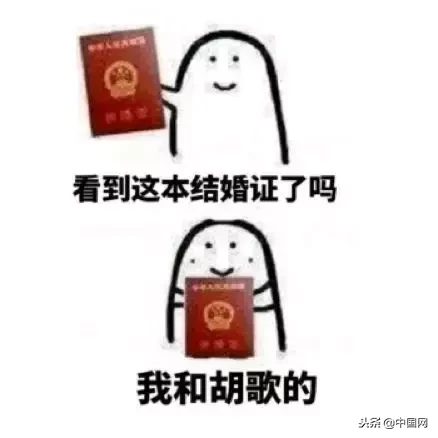 改革开放40年，这些常用词居然是“移民”，你发现了吗？
