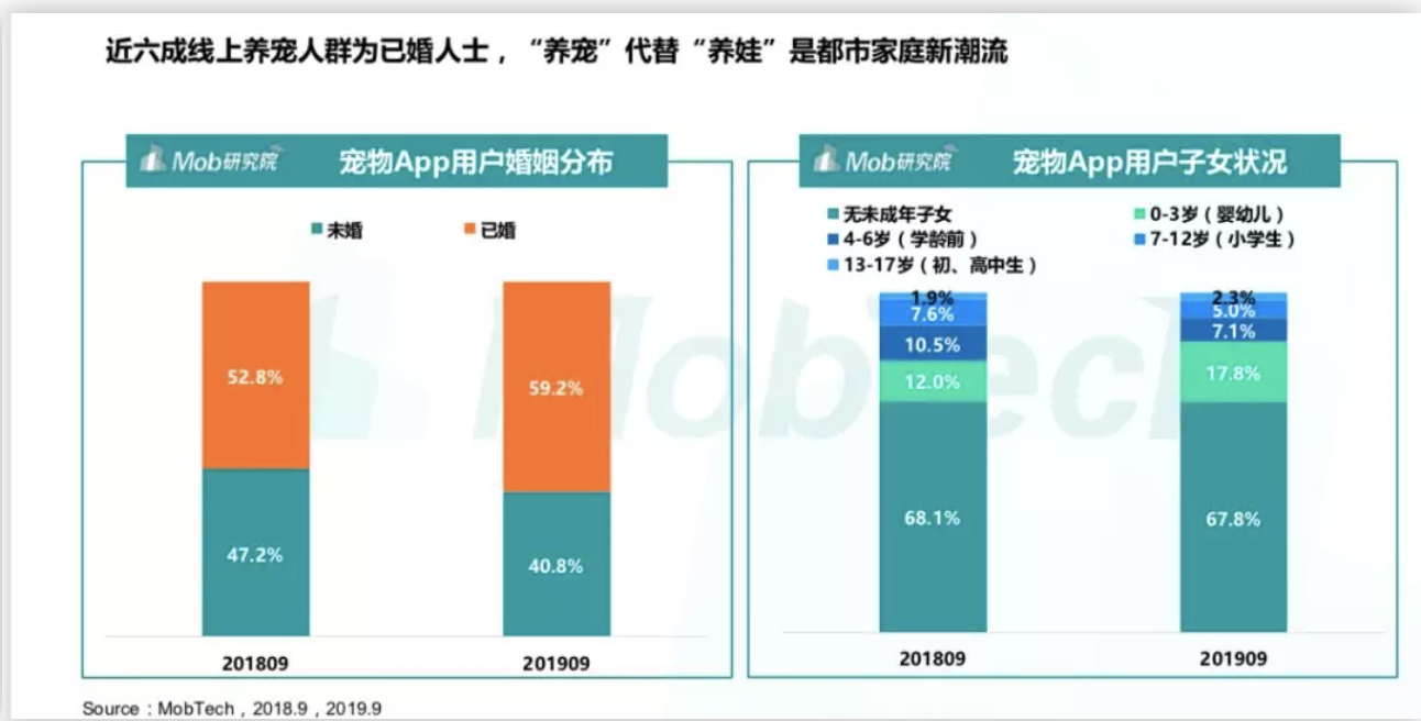 春节回家宠物咋办？狗狗培训班竟然要6000多
