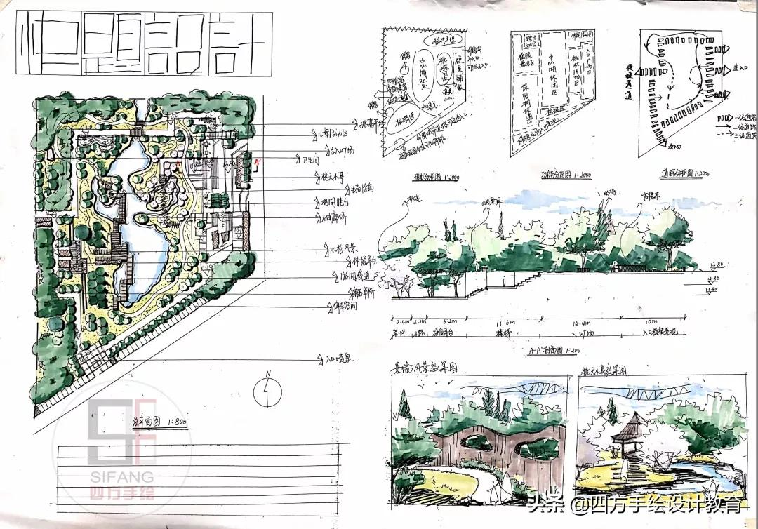 四川农业大学风景园林专硕377分！学姐专业课130分复试轻松面对