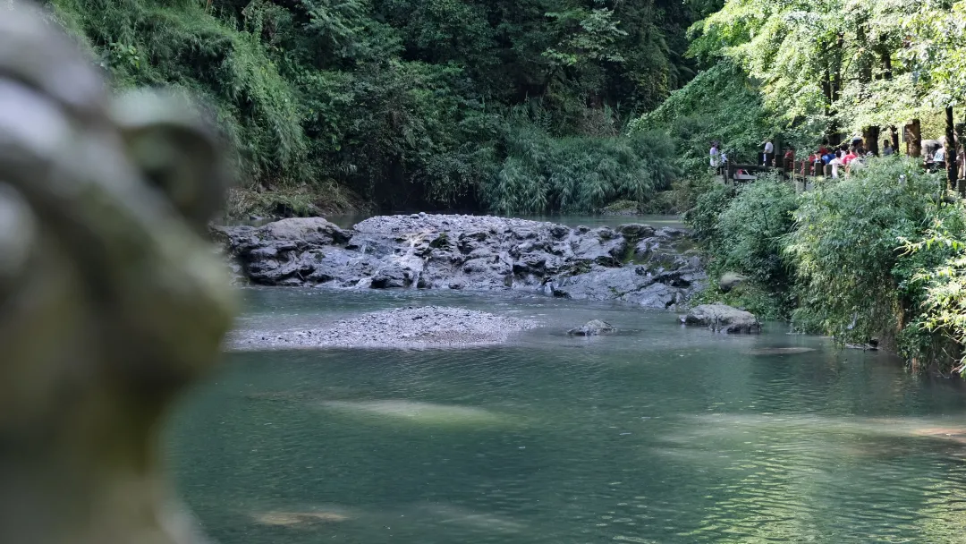 峨眉山直播(一天时间就上了央视、CGTN两场直播，峨眉山你要不要这么火！)