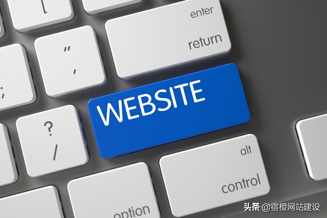 website developer contact number