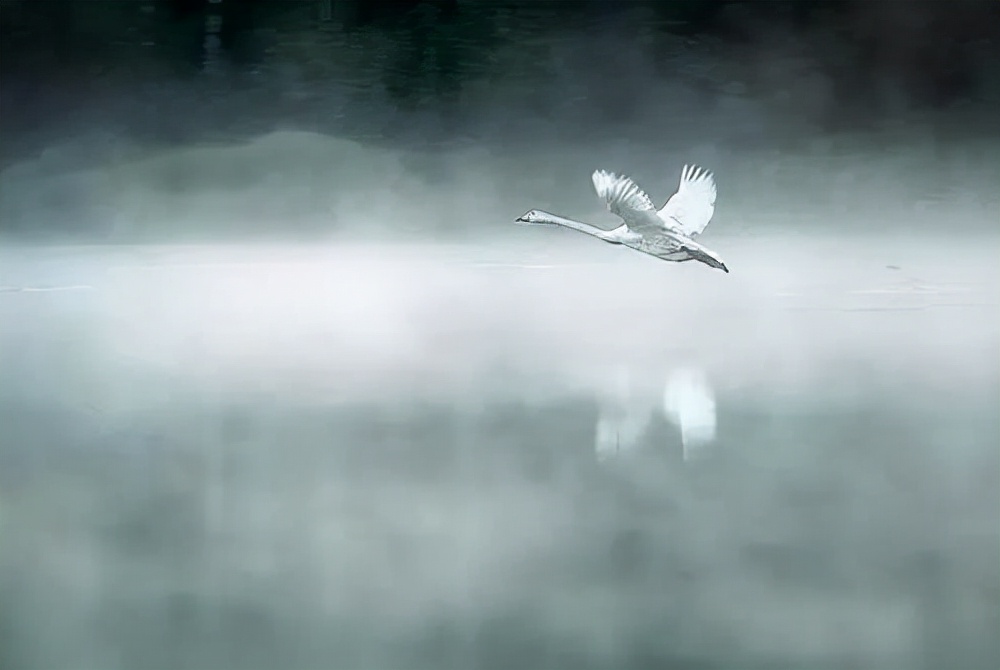 宋词赏析 苏东坡《卜算子·黄州定慧院寓居作》