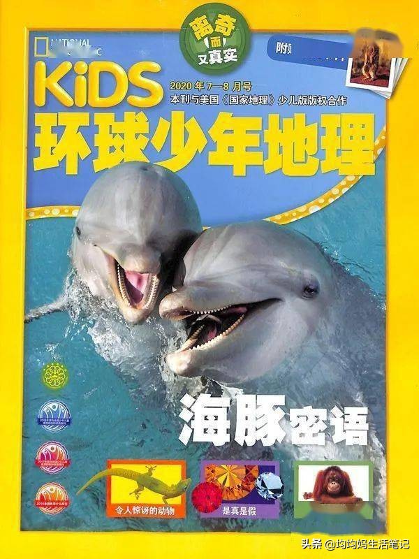 十大畅销杂志推荐：精选优质读物，助你避开选择陷阱