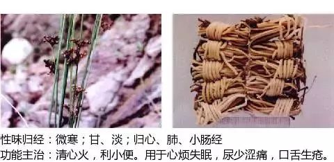 300个中草药图谱（附主治功效），知道一半就太牛了（上）