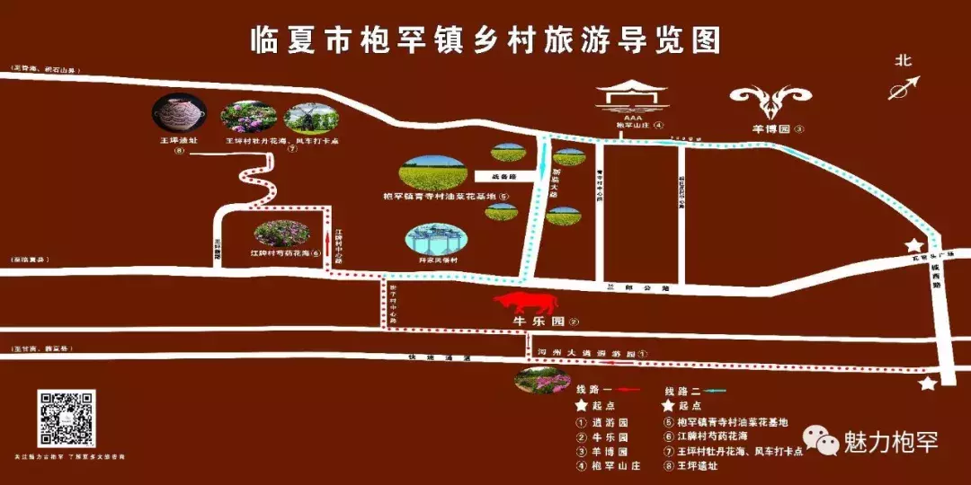 乡村旅游 | 枹罕镇金色农庄生态游:“赏花潮”带动“经济热”