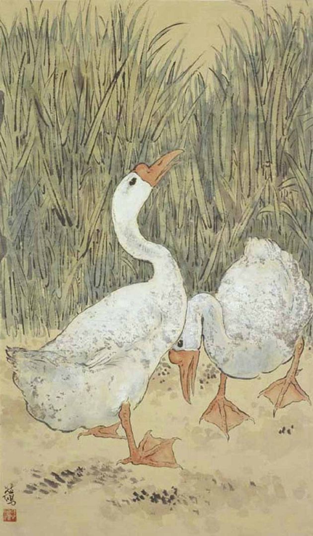 国画名家画鹅欣赏