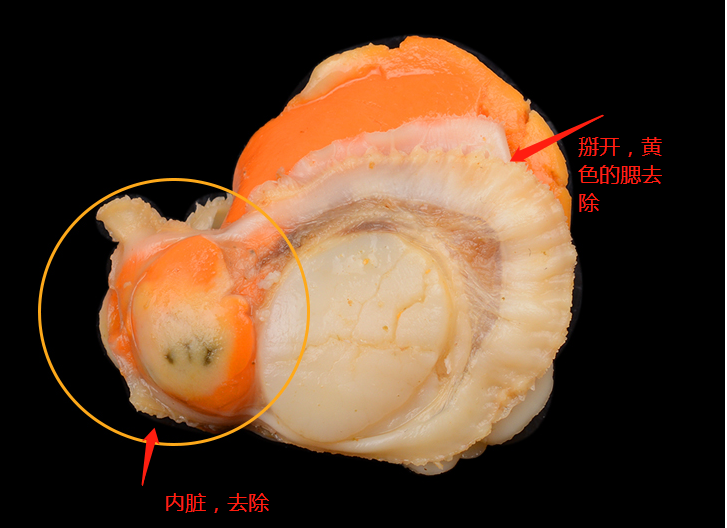 扇贝怎么清洗内脏图解，新鲜上班处理及清晰方法教程