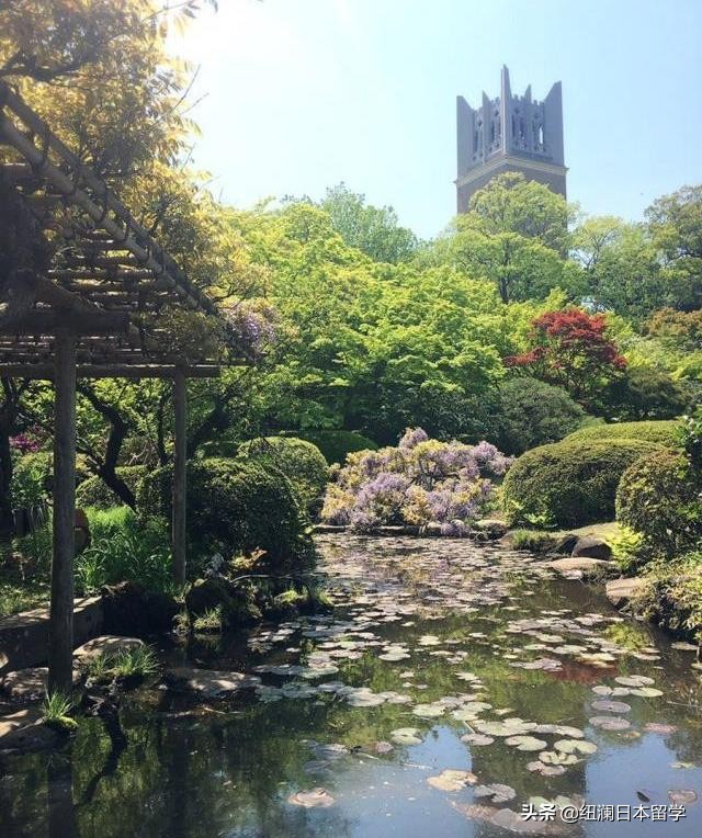 日本留学：早稻田大学入学须知！不要错过哦