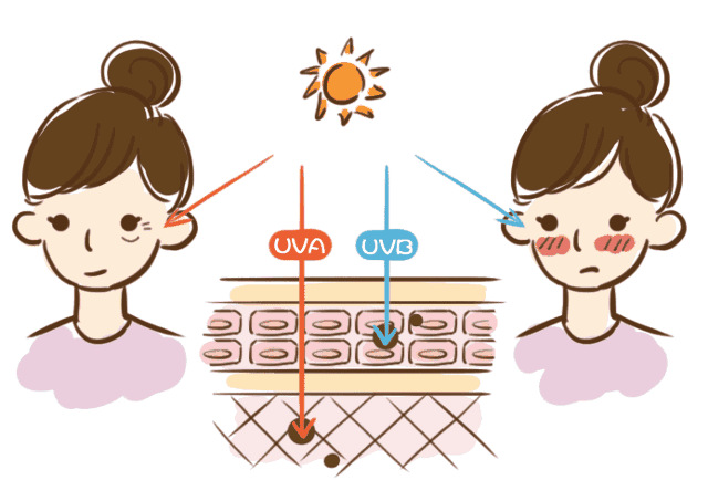防晒霜防晒指数(1分钟了解UVA、UVB、SPF、PA，自测你的防晒霜指数够吗？)