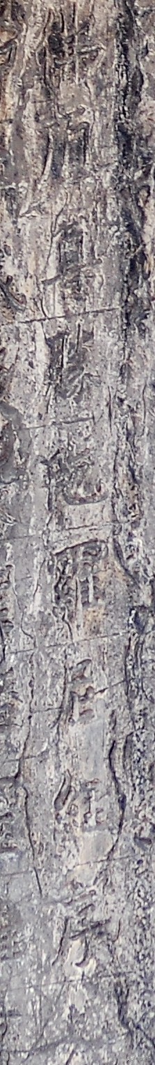 天护陀罗尼经幢，一枚宋币、一具尸骨、两个年号，包含众多迷团