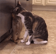 2020版最新法官、检察官表情大全！哈哈哈