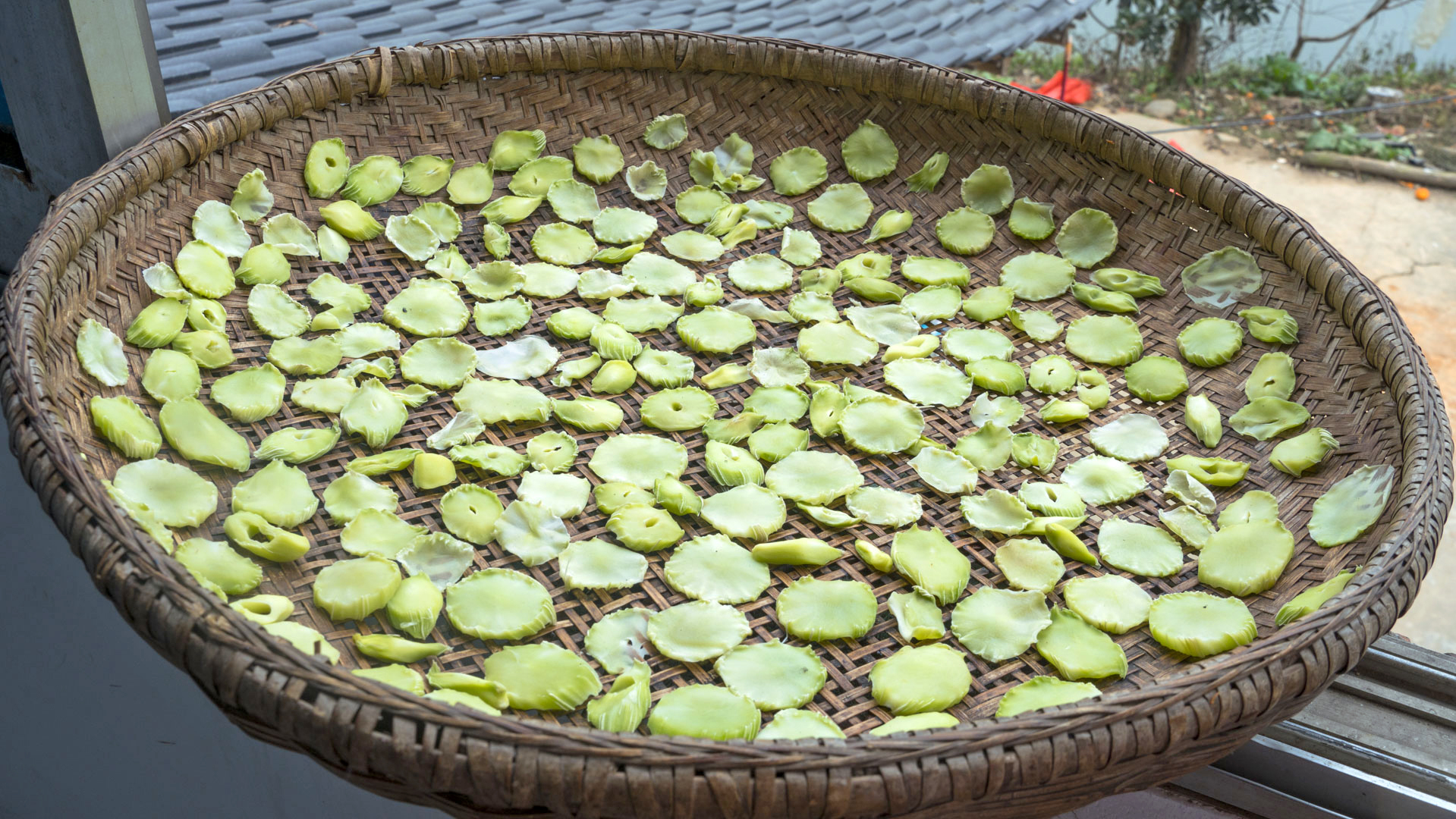 这10种蔬菜晒干后，比新鲜的还好吃！风味独特，生吃炖肉都好吃