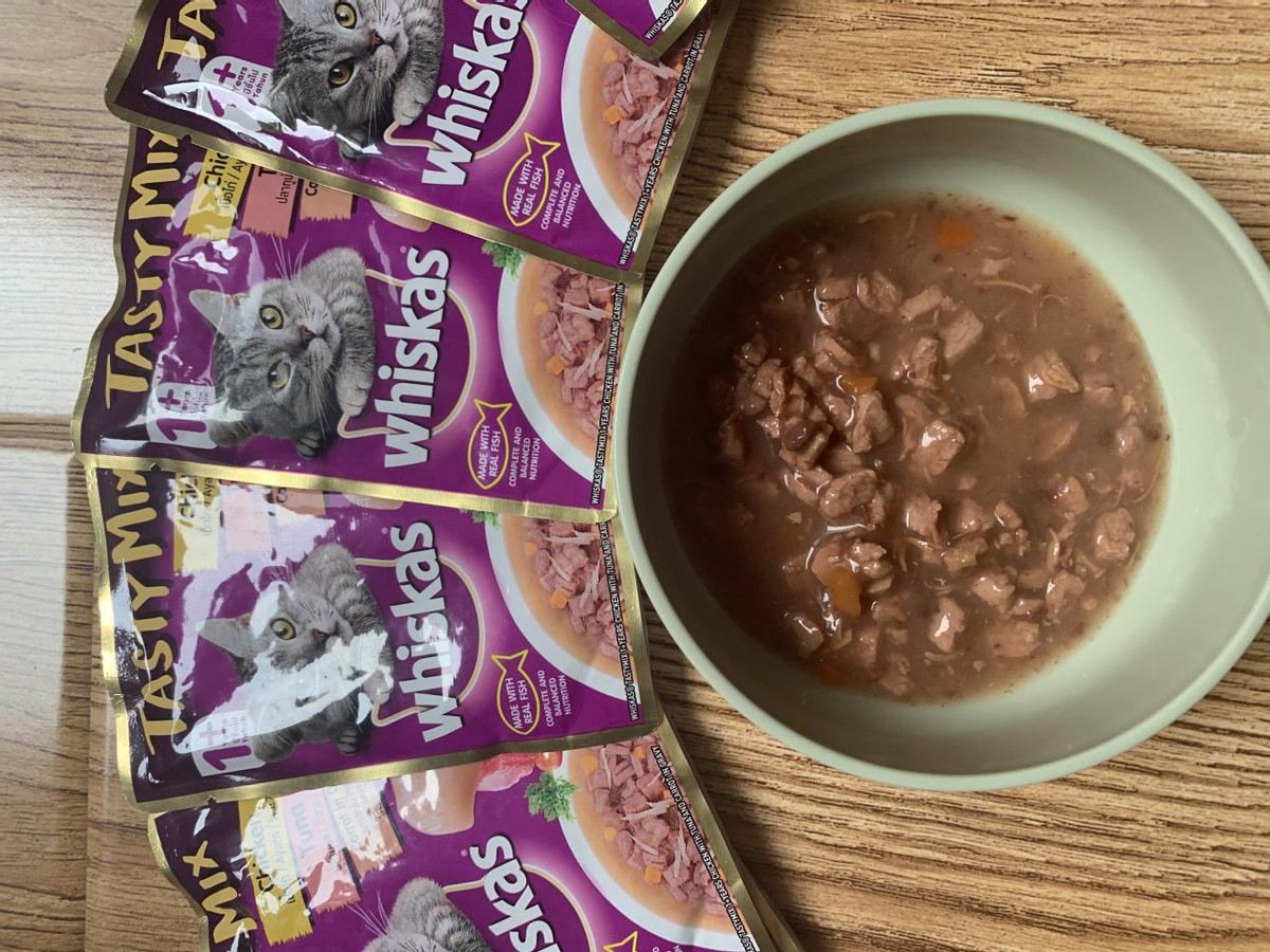 新手猫奴必备猫粮，伟嘉猫粮大品牌更有保障