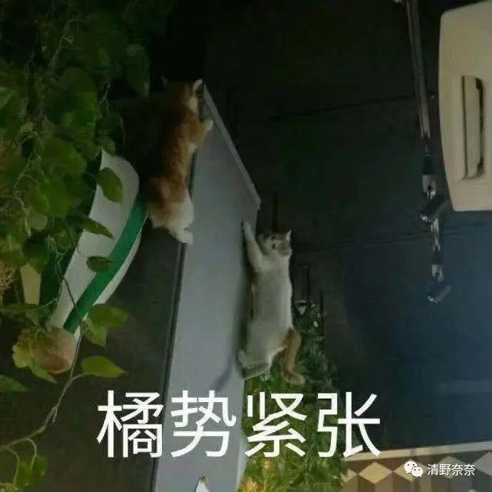 男生一般想要什么礼物（男生适合什么礼物）