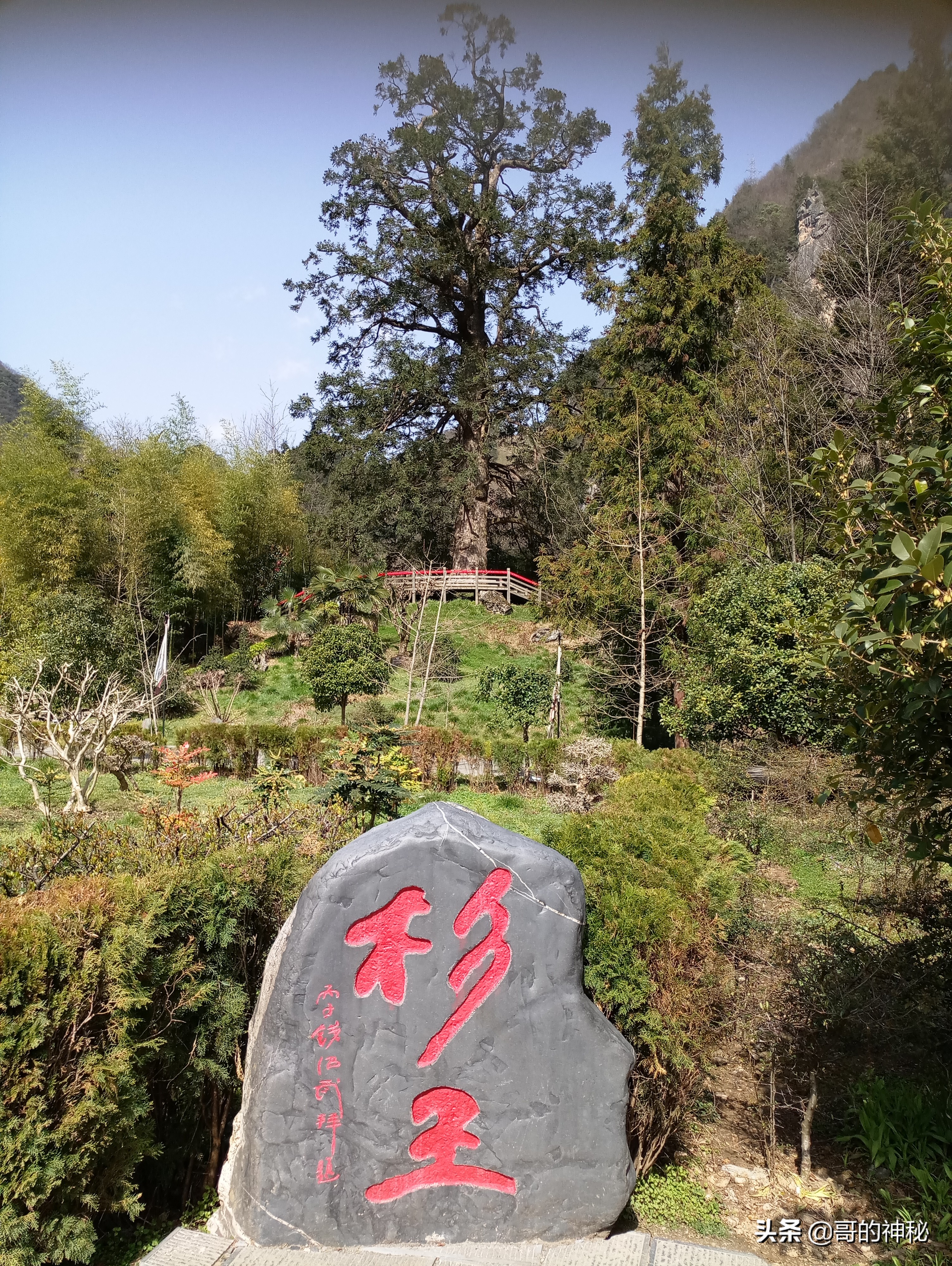 自驾游玩神农架风景区旅途分享