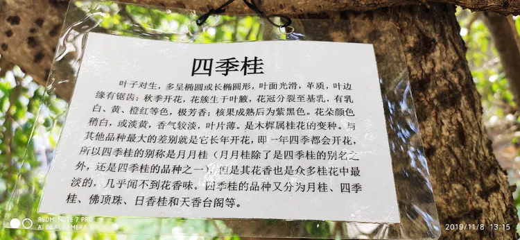 陪你一起看湖北省广水一中①——走进植物王国