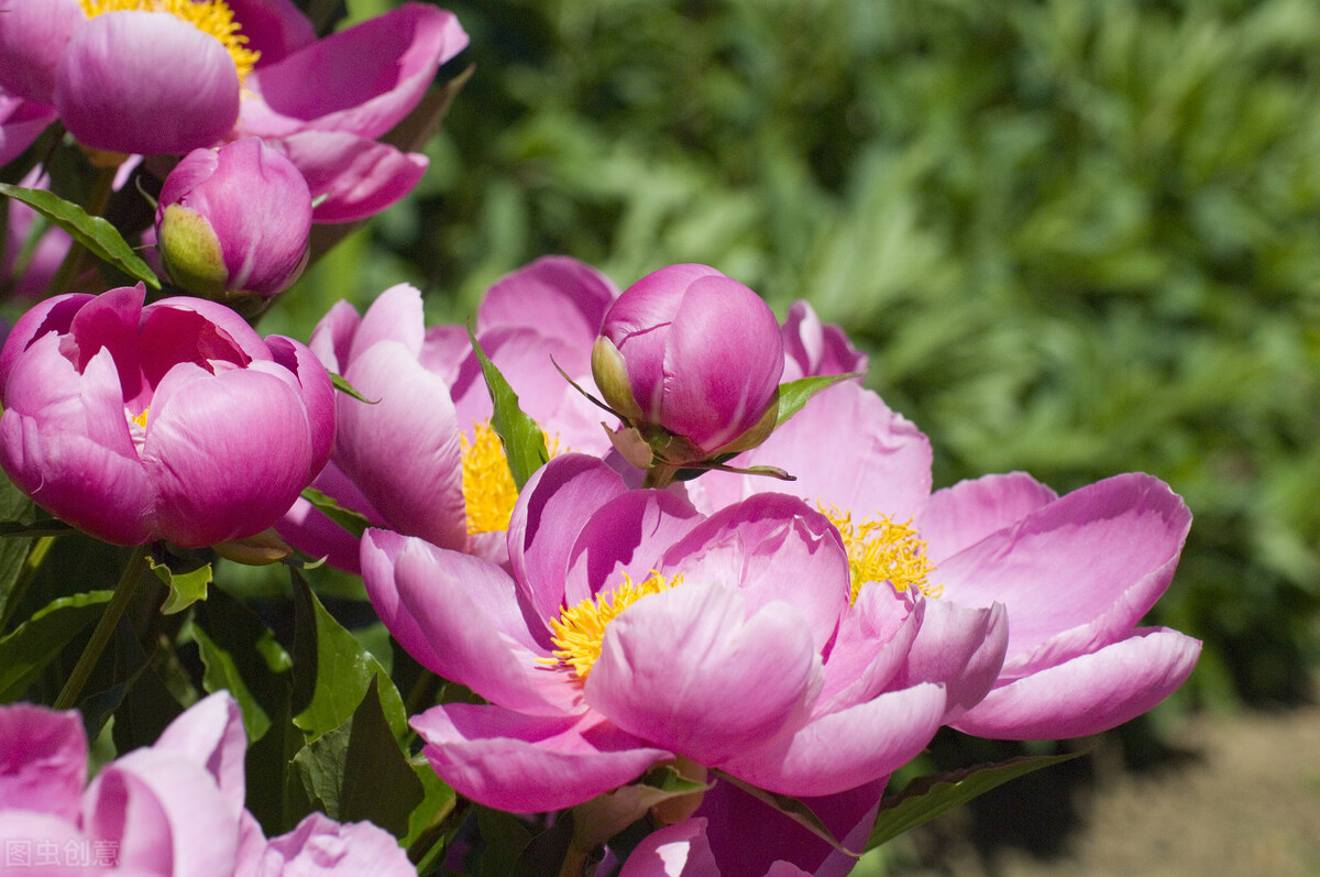 狮子座的许多暖心之举，随性又克制，很容易被忽视