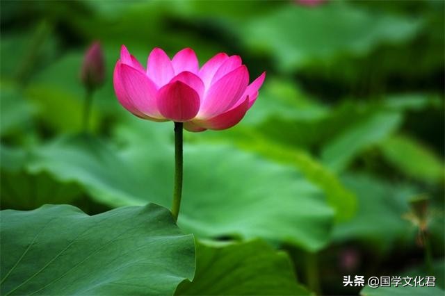 心烦的时候，多读读《道德经》中的这3句话，一切都会好起来