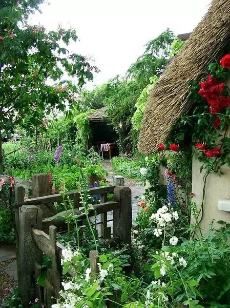 余生，想要一个院子，看花开花落