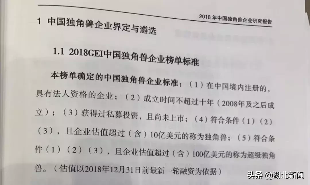 光谷最大“隐形独角兽”浮出水面——小药药！光谷独角兽达5只