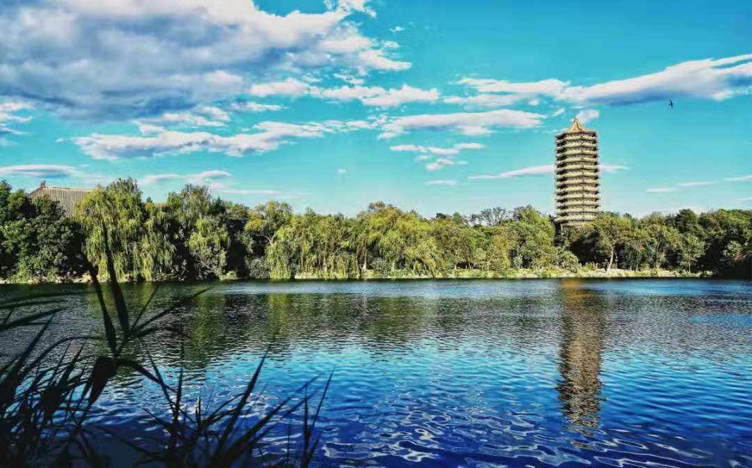 悲哀！当年的高考状元，报考基层公务员，成绩还不如三本生