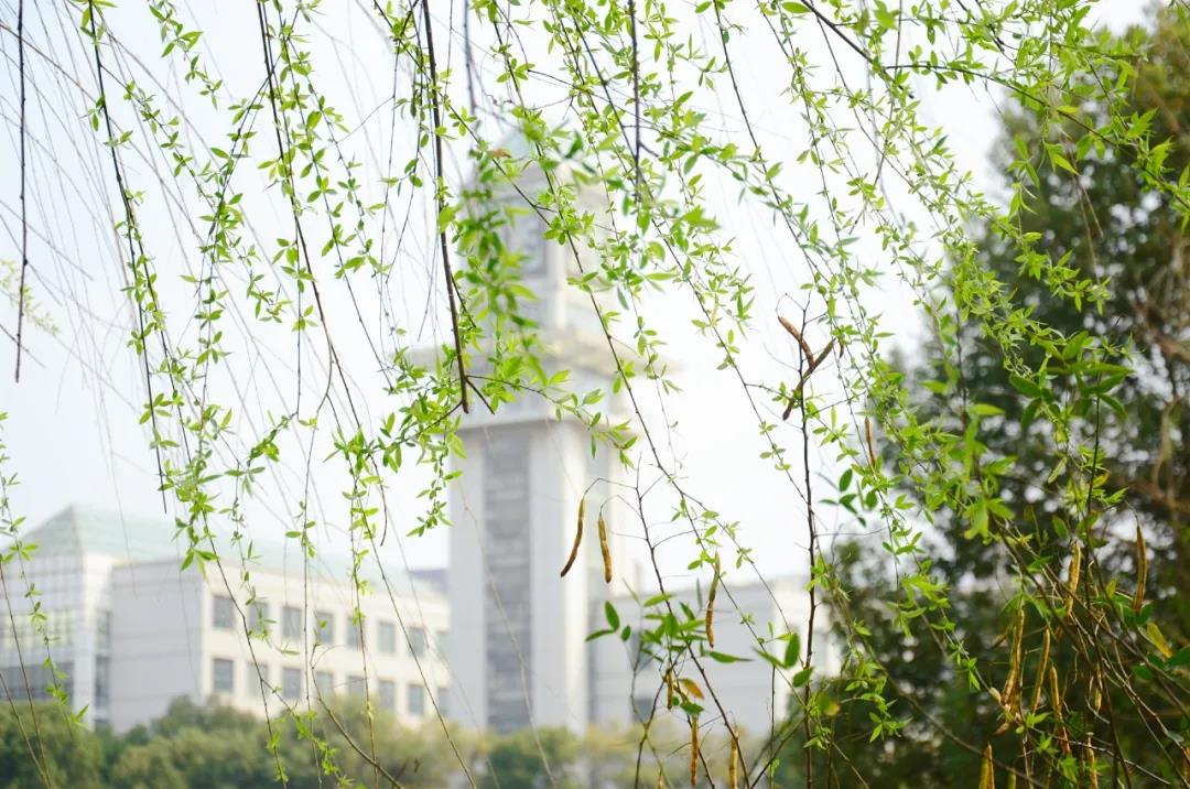 武汉都有什么大学（武汉的一些高校太有特色了）