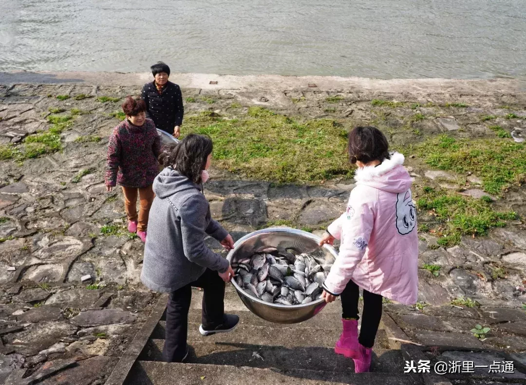 杭州灵隐寺举行放生祈福法会，钱塘江科学放生鱼类物命数万！