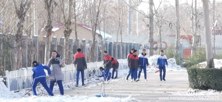 年年蟾宫折桂，岁岁铸就辉煌——热烈庆祝高邑一中2020年高考再创新高