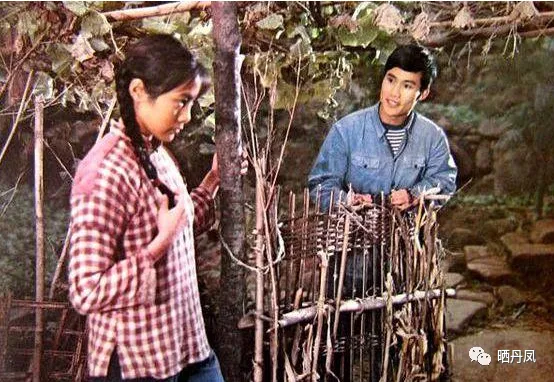 张宽民:故乡那人,那事(短文三篇)
