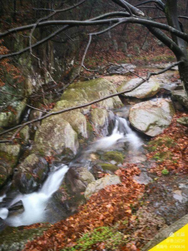 秋游六盘山（散文）