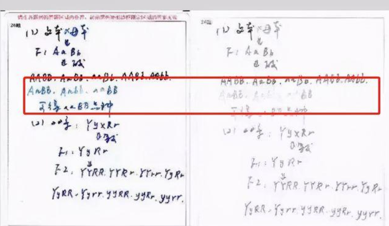 高考规定使用2B铅笔，看看扫描过的试卷便明白，考生别自作聪明
