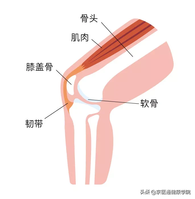 膝盖窝疼痛是什么原因引起的？常见膝关节疾病解析