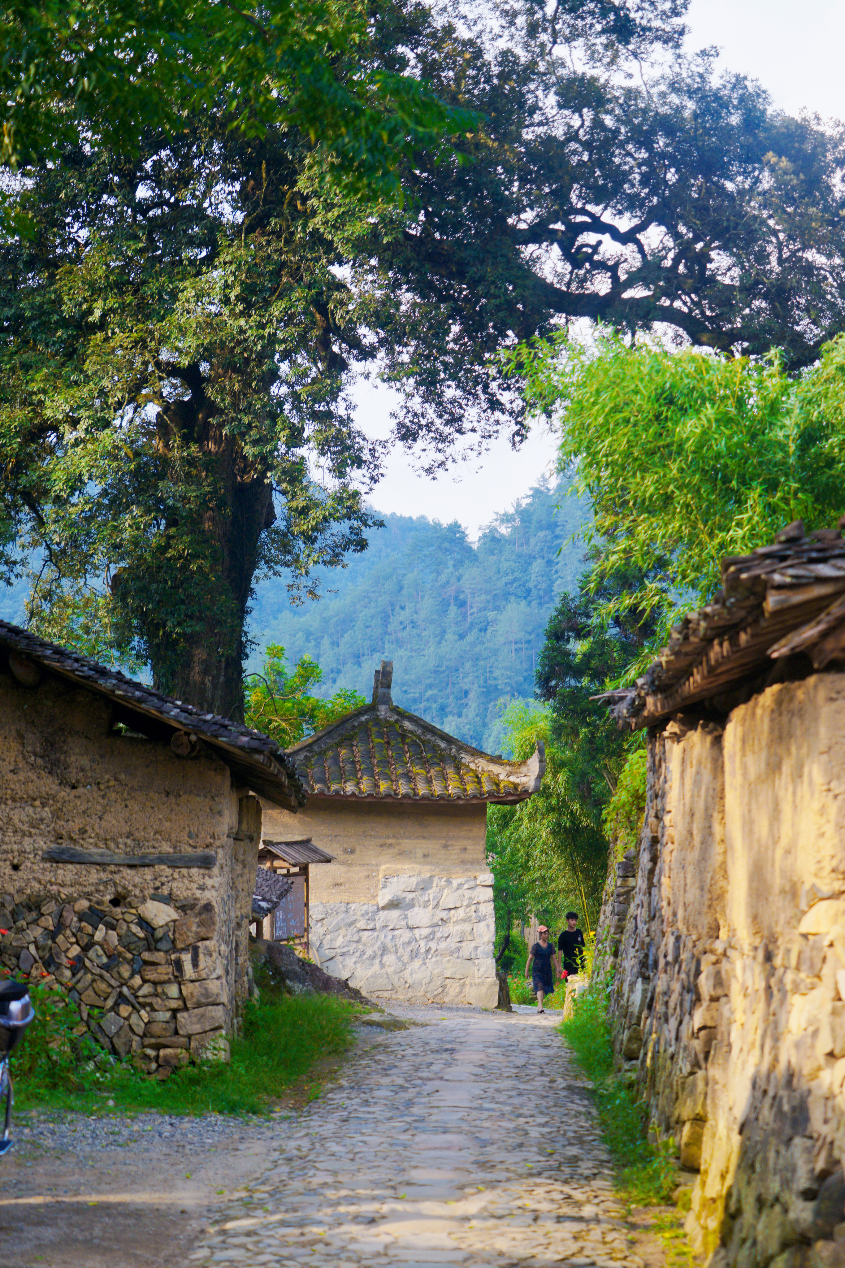 泰顺筱村有个徐姓古村落,村民却不姓徐,明星都曾到访