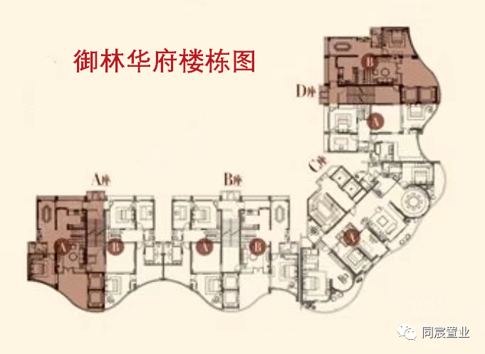 南山老牌名校，南山实验麒麟中学深度解读