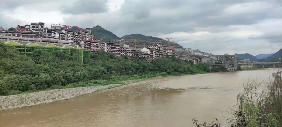围猎茅台镇,金钱永不眠
