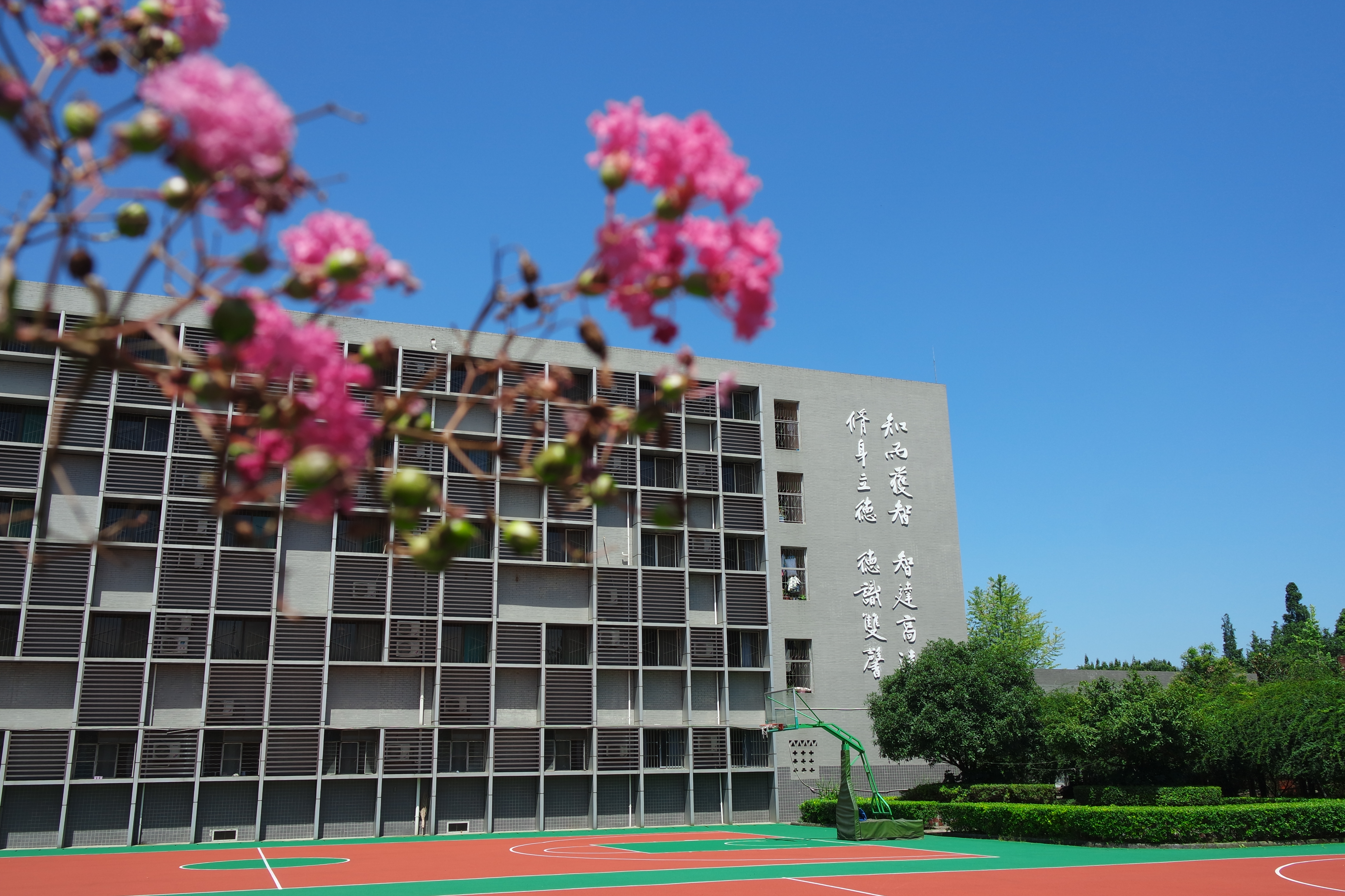 公有民办，关爱若盐——成都盐道街外国语学校