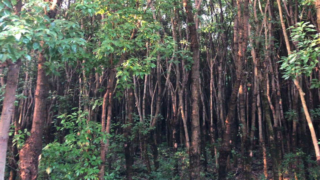 上海淀山湖风景区自驾一日游