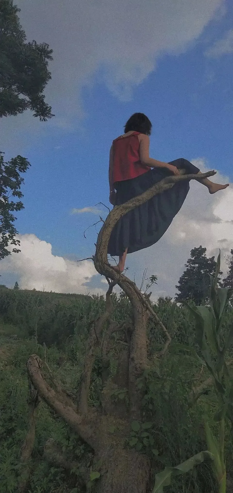 壁纸:很酷不说话,适合的壁纸