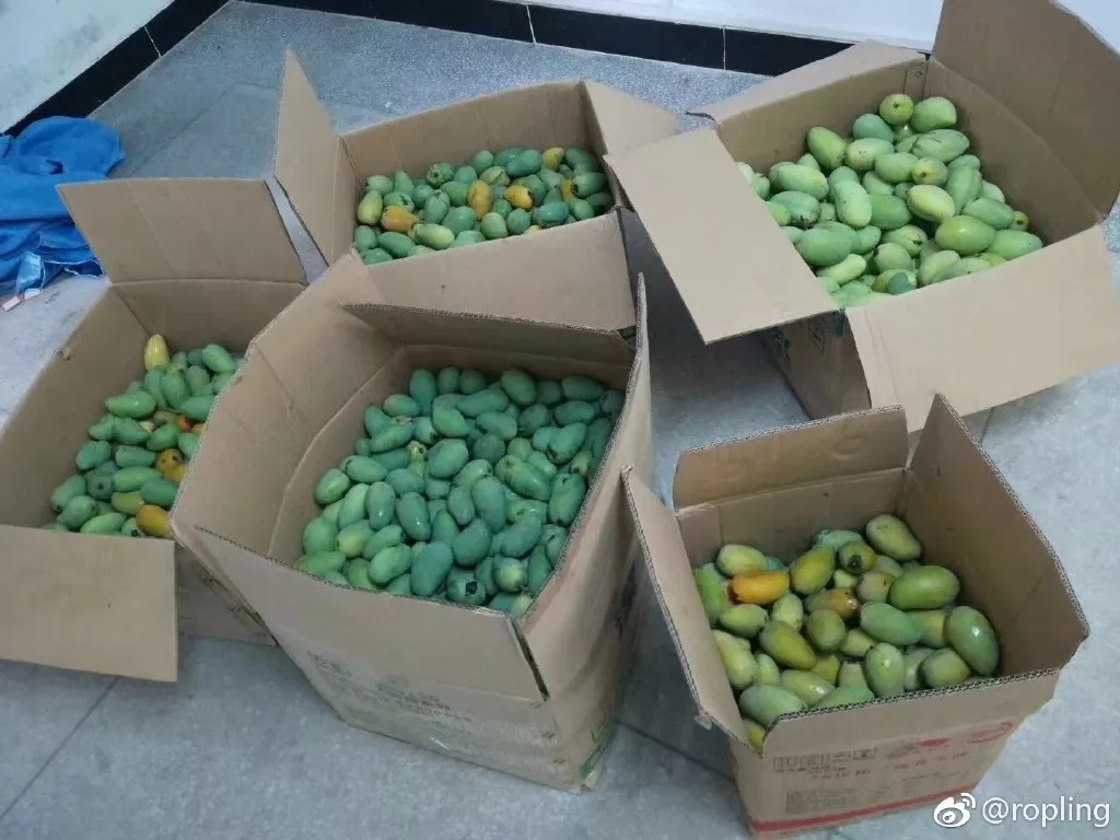 2020新学季：盘点南宁13所示范性高中，有你的母校吗？