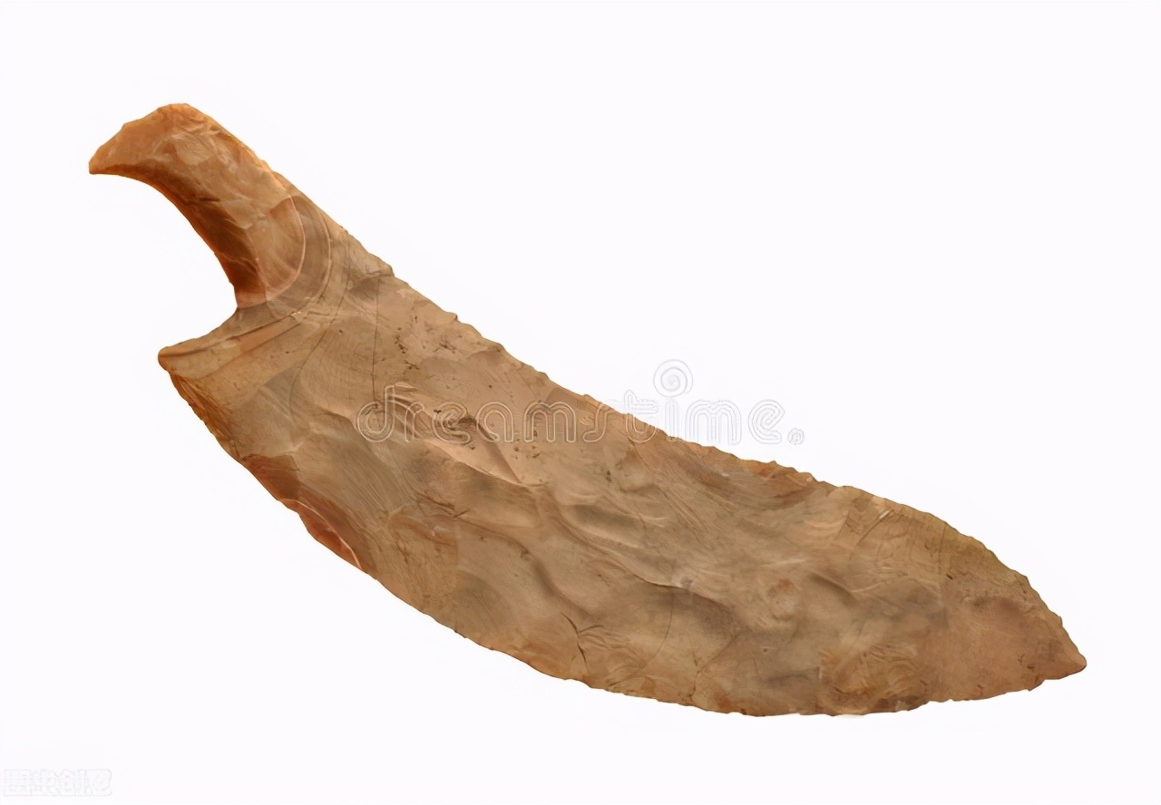 從莫言開(kāi)收割機(jī)收獲青貯玉米，看傳統(tǒng)農(nóng)耕收獲農(nóng)具的變遷