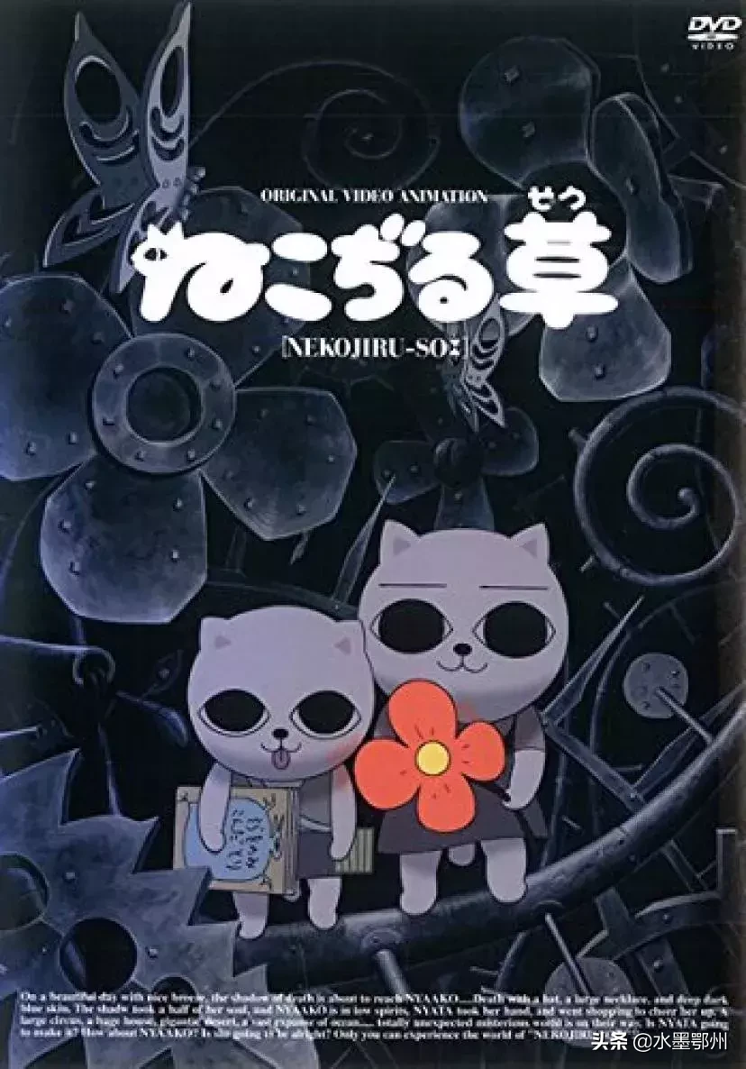 刷完100部“猫片”,发现你们对喵星人的偏见竟如此之大
