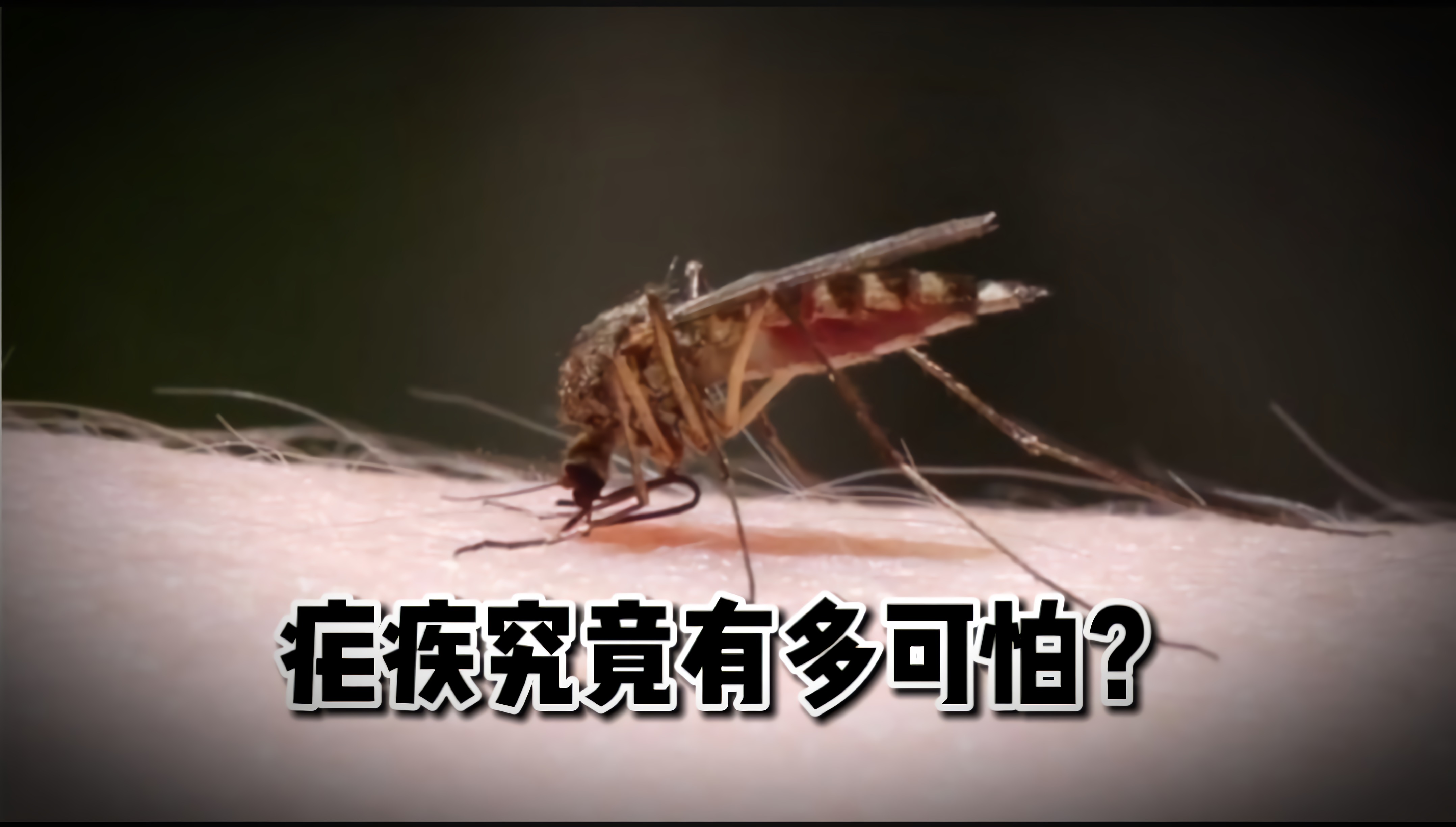 中国成功申请国家消除疟疾认证，横行多年的疟疾究竟有多可怕