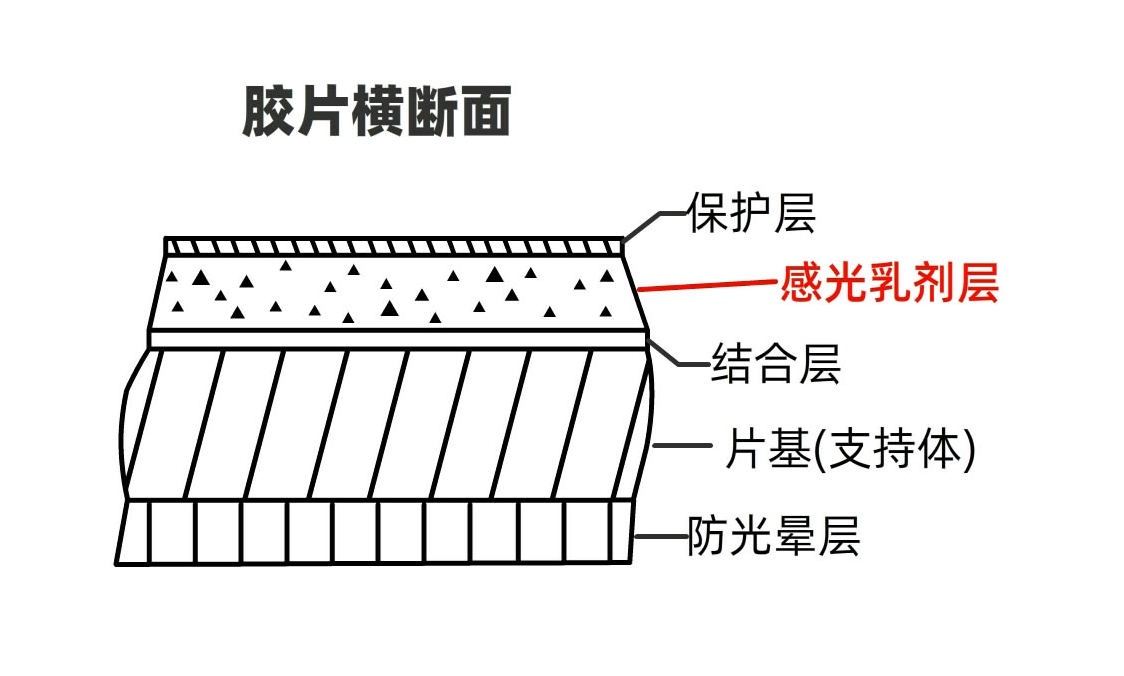 一看就懂：冲洗底片和照片的原理