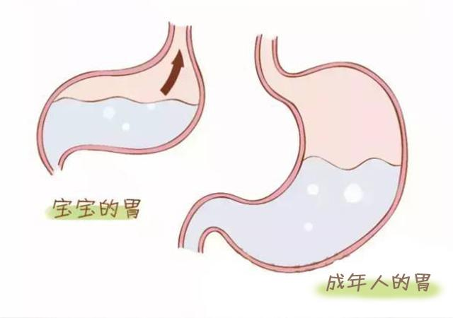 给宝宝拍了奶嗝怎么还吐奶？光拍可不行，宝妈还得注意5个点