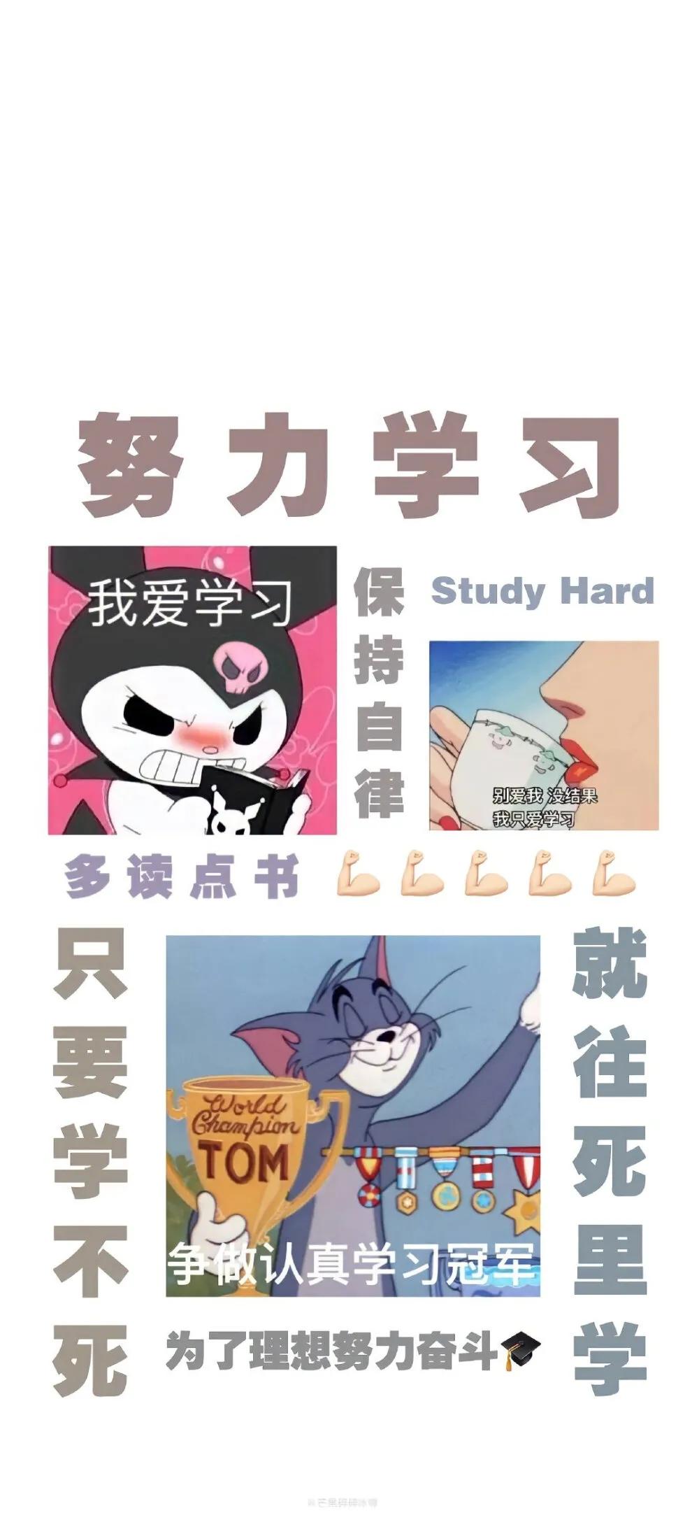 学习专用文字壁纸,从现在开始认真学习