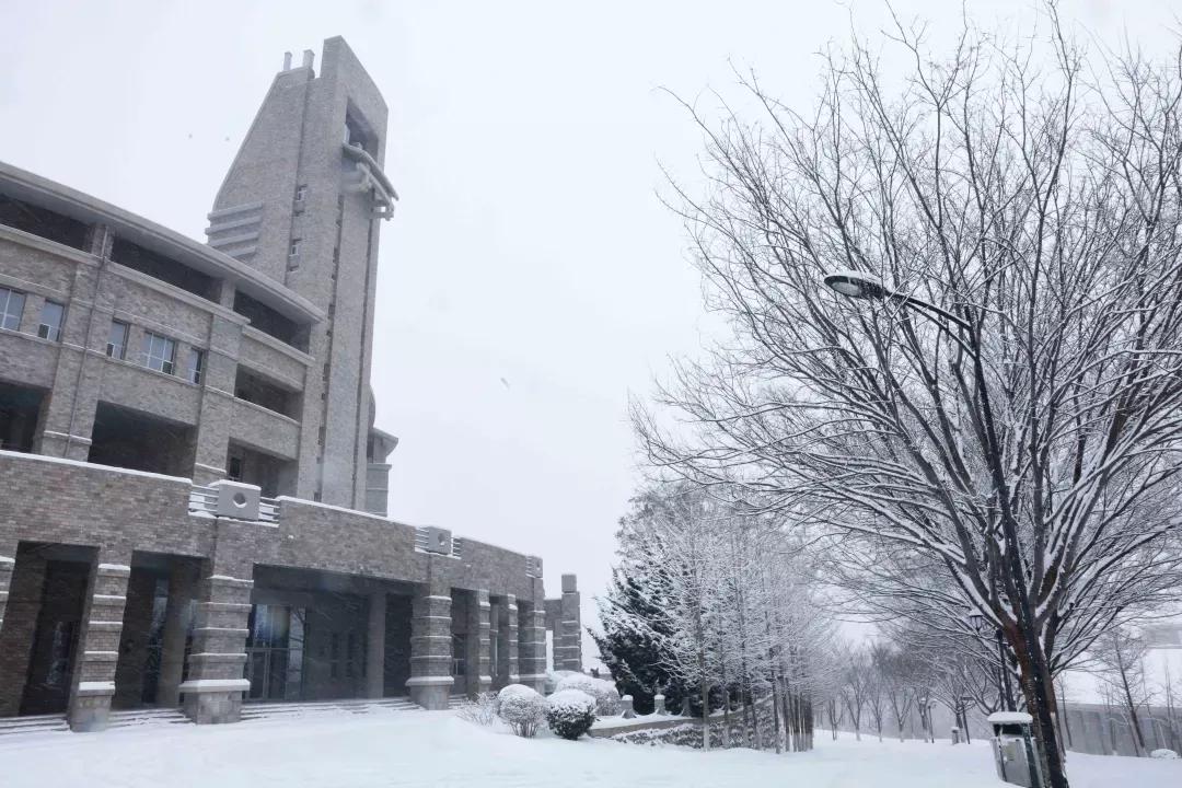 辽宁省民办大学(二)大连东软信息学院