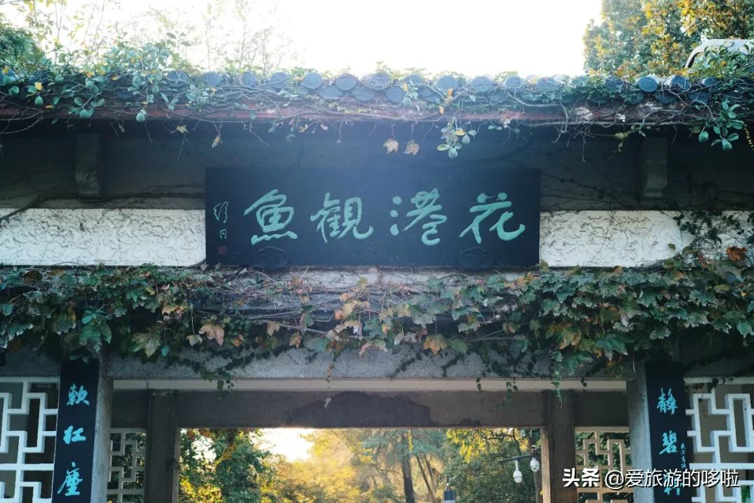 6块钱,包船游西湖